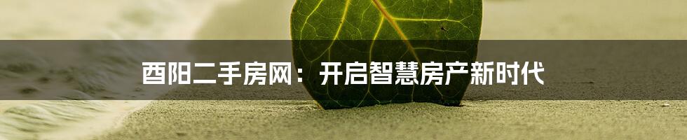 酉阳二手房网：开启智慧房产新时代