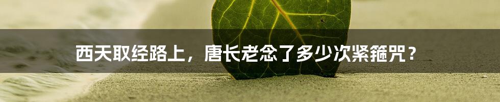 西天取经路上，唐长老念了多少次紧箍咒？