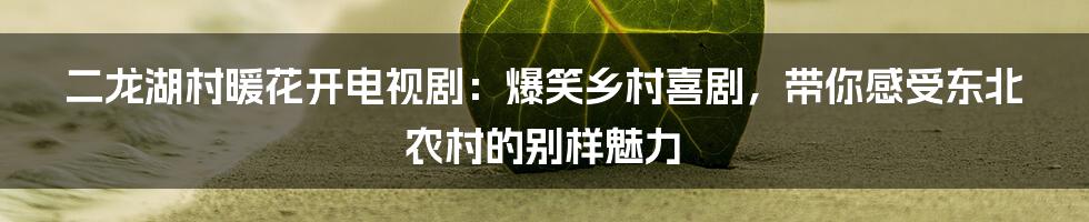 二龙湖村暖花开电视剧：爆笑乡村喜剧，带你感受东北农村的别样魅力