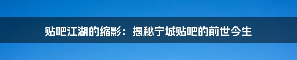 贴吧江湖的缩影：揭秘宁城贴吧的前世今生