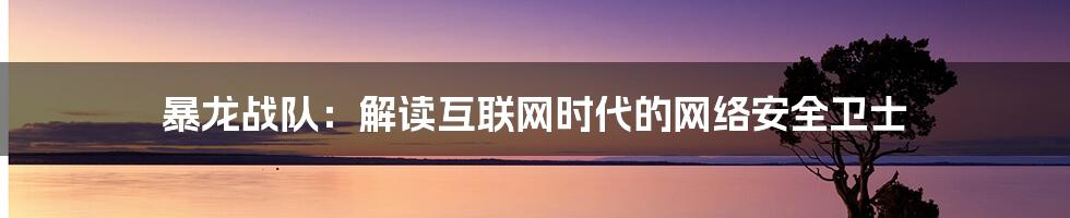 暴龙战队：解读互联网时代的网络安全卫士