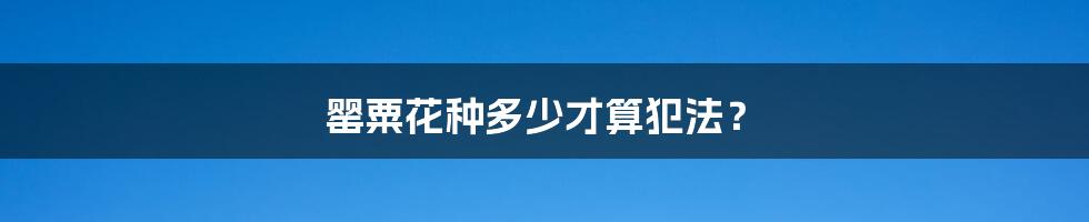 罂粟花种多少才算犯法？