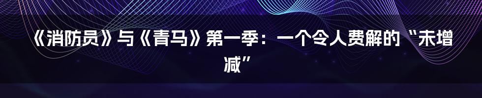 《消防员》与《青马》第一季：一个令人费解的“未增减”