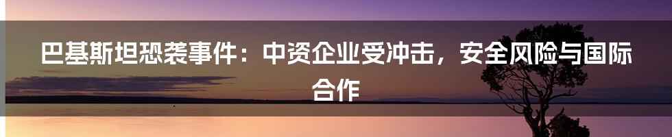 巴基斯坦恐袭事件：中资企业受冲击，安全风险与国际合作