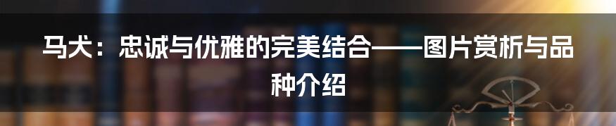 马犬：忠诚与优雅的完美结合——图片赏析与品种介绍