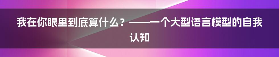 我在你眼里到底算什么？——一个大型语言模型的自我认知