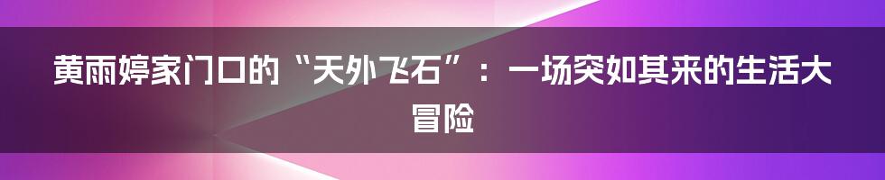 黄雨婷家门口的“天外飞石”：一场突如其来的生活大冒险