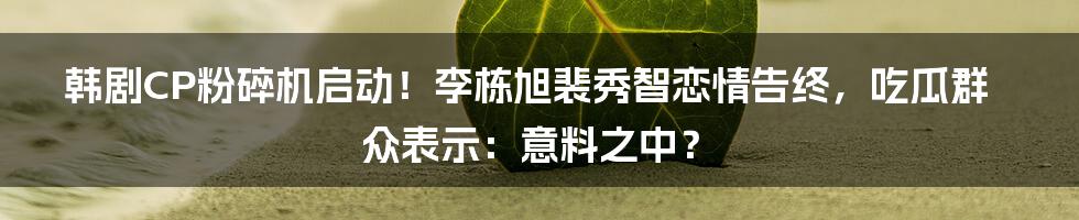 韩剧CP粉碎机启动！李栋旭裴秀智恋情告终，吃瓜群众表示：意料之中？