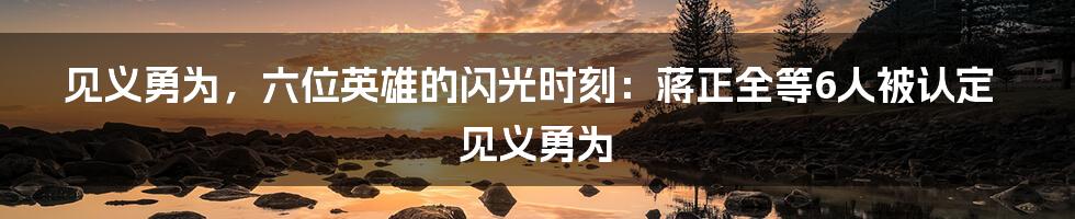 见义勇为，六位英雄的闪光时刻：蒋正全等6人被认定见义勇为