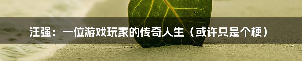 汪强：一位游戏玩家的传奇人生（或许只是个梗）