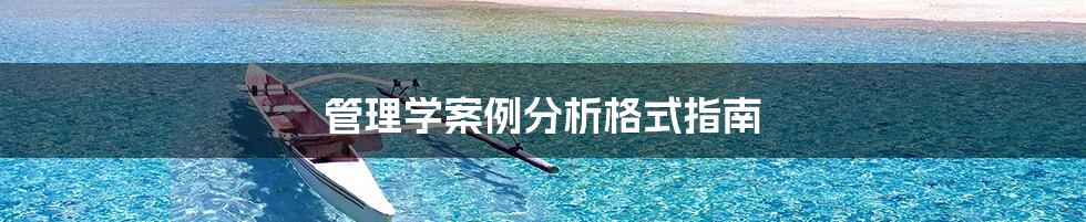 管理学案例分析格式指南