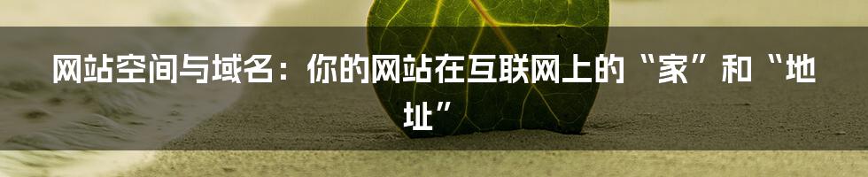 网站空间与域名：你的网站在互联网上的“家”和“地址”