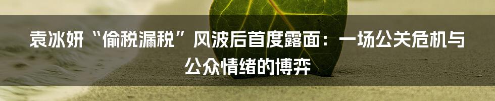 袁冰妍“偷税漏税”风波后首度露面：一场公关危机与公众情绪的博弈