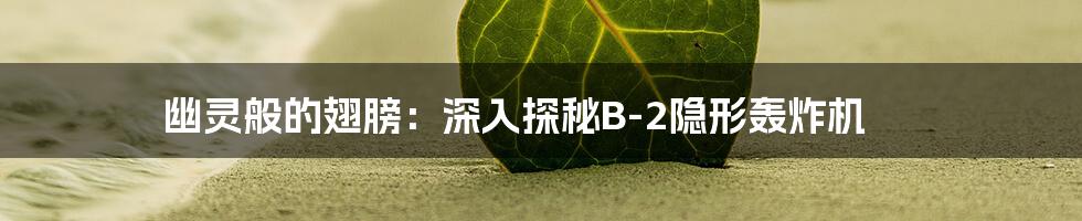 幽灵般的翅膀：深入探秘B-2隐形轰炸机