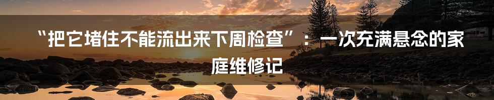 “把它堵住不能流出来下周检查”：一次充满悬念的家庭维修记