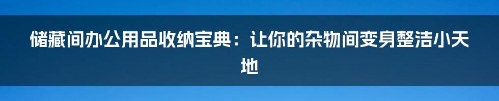 储藏间办公用品收纳宝典：让你的杂物间变身整洁小天地