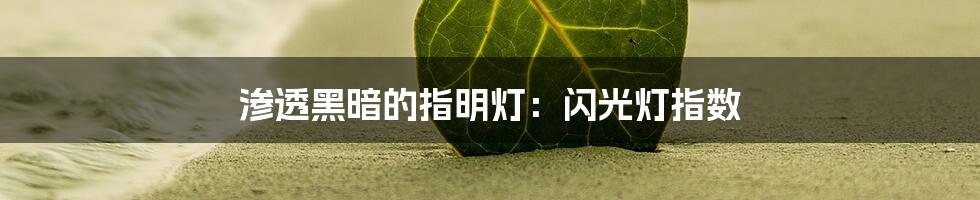 渗透黑暗的指明灯：闪光灯指数