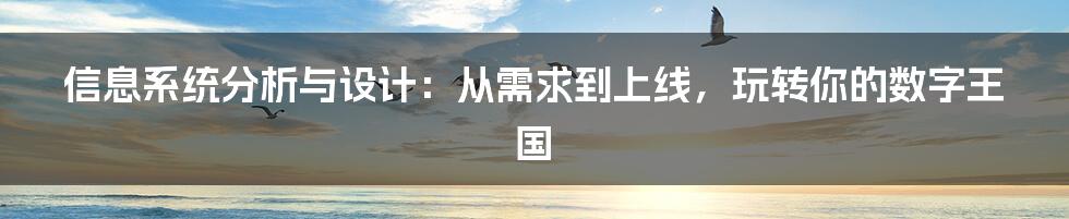 信息系统分析与设计：从需求到上线，玩转你的数字王国