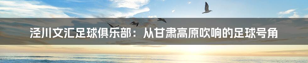 泾川文汇足球俱乐部：从甘肃高原吹响的足球号角