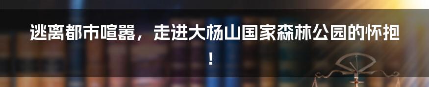 逃离都市喧嚣，走进大杨山国家森林公园的怀抱！