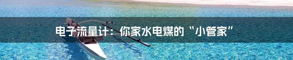 电子流量计：你家水电煤的“小管家”