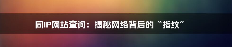 同IP网站查询：揭秘网络背后的“指纹”