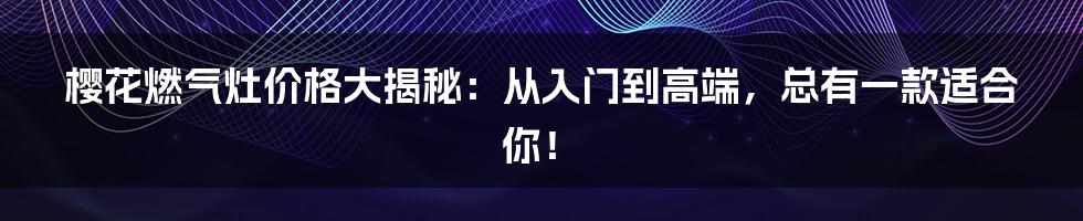 樱花燃气灶价格大揭秘：从入门到高端，总有一款适合你！