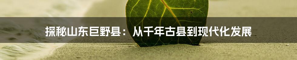 探秘山东巨野县：从千年古县到现代化发展