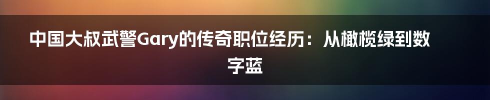 中国大叔武警Gary的传奇职位经历：从橄榄绿到数字蓝