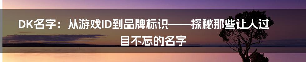 DK名字：从游戏ID到品牌标识——探秘那些让人过目不忘的名字