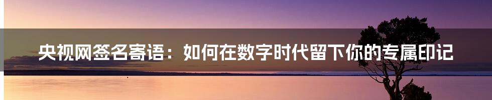 央视网签名寄语：如何在数字时代留下你的专属印记