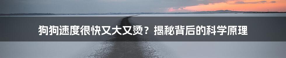 狗狗速度很快又大又烫？揭秘背后的科学原理