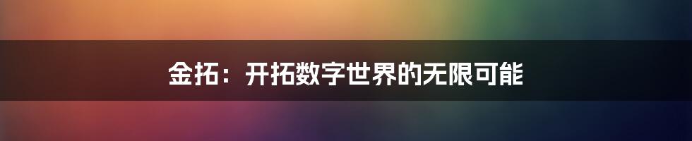 金拓：开拓数字世界的无限可能