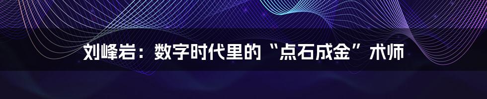 刘峰岩：数字时代里的“点石成金”术师