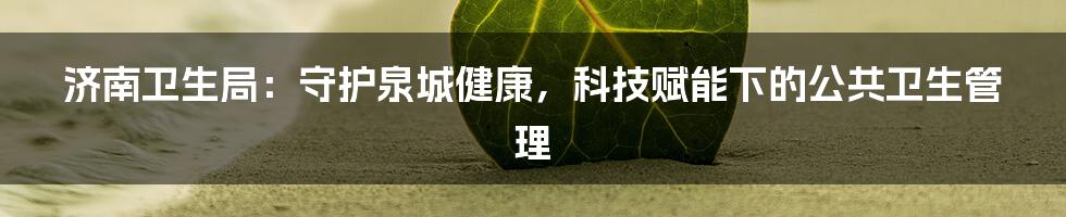 济南卫生局：守护泉城健康，科技赋能下的公共卫生管理