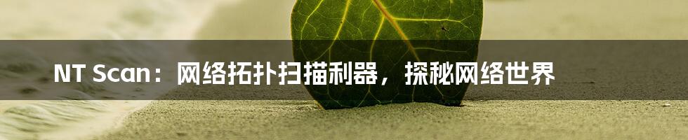 NT Scan：网络拓扑扫描利器，探秘网络世界