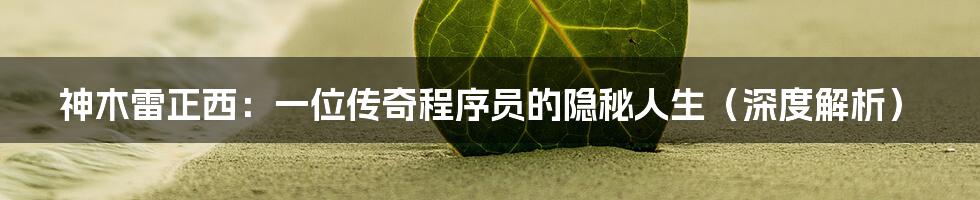 神木雷正西：一位传奇程序员的隐秘人生（深度解析）