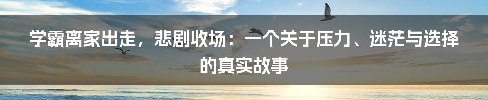 学霸离家出走，悲剧收场：一个关于压力、迷茫与选择的真实故事