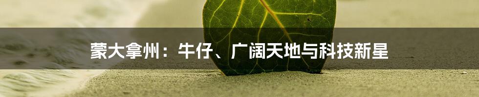 蒙大拿州：牛仔、广阔天地与科技新星