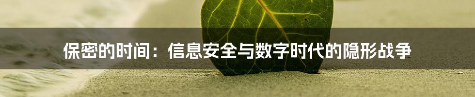 保密的时间：信息安全与数字时代的隐形战争