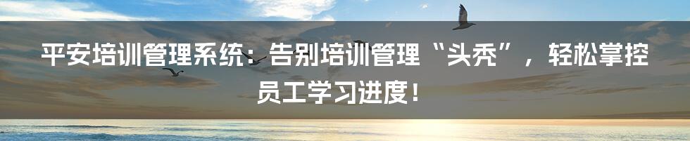 平安培训管理系统：告别培训管理“头秃”，轻松掌控员工学习进度！