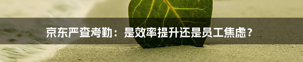 京东严查考勤：是效率提升还是员工焦虑？