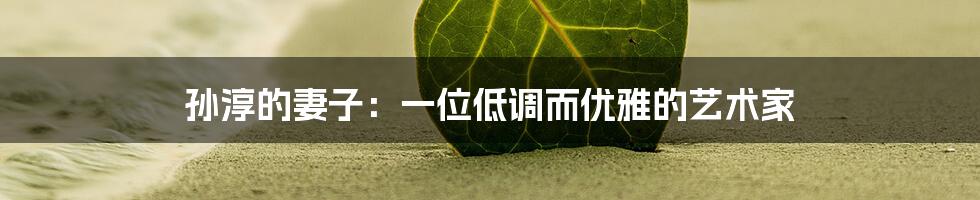 孙淳的妻子：一位低调而优雅的艺术家