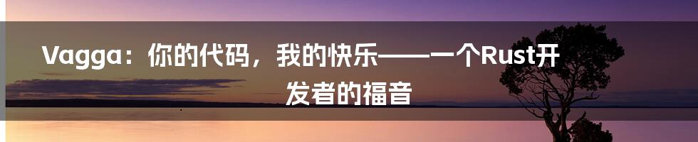 Vagga：你的代码，我的快乐——一个Rust开发者的福音