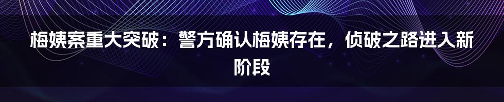 梅姨案重大突破：警方确认梅姨存在，侦破之路进入新阶段