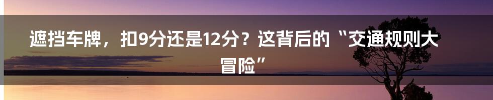 遮挡车牌，扣9分还是12分？这背后的“交通规则大冒险”