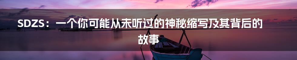 SDZS：一个你可能从未听过的神秘缩写及其背后的故事