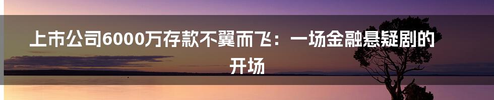 上市公司6000万存款不翼而飞：一场金融悬疑剧的开场