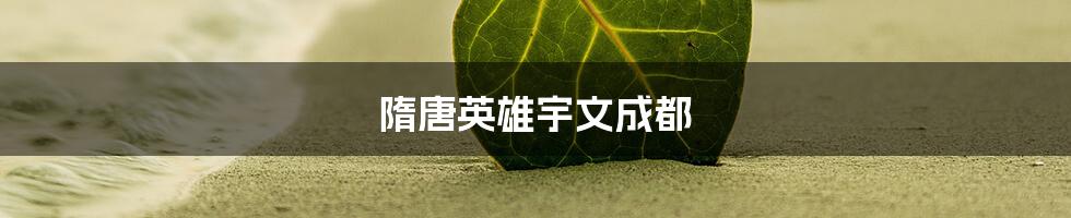 隋唐英雄宇文成都