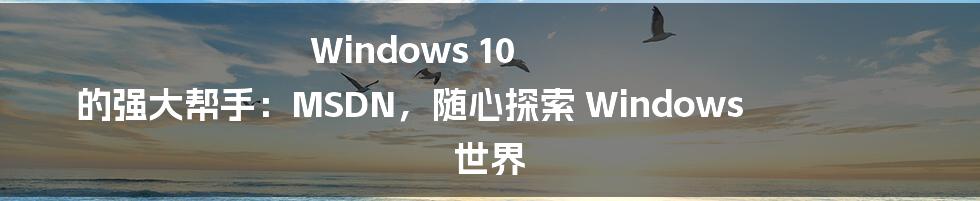 Windows 10 的强大帮手：MSDN，随心探索 Windows 世界